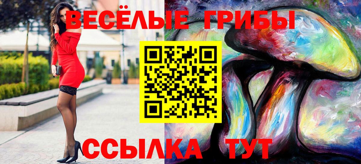 Псилоцибиновые грибы Psilocybine cubensis Владикавказ