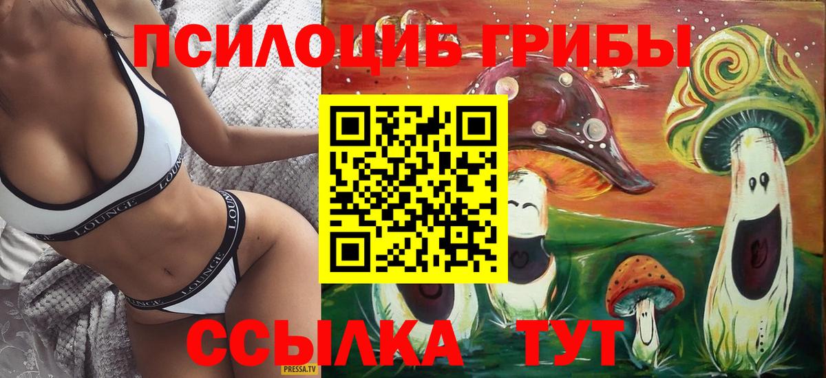 Владикавказ  Галлюциногенные грибы мухоморы  Вход с VPN 